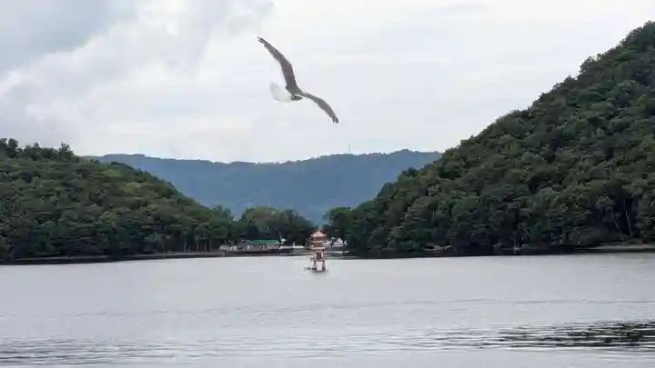 中島三重の塔の本殿・本堂