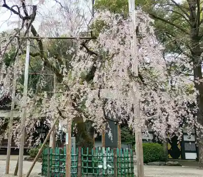 大國魂神社(東京都)