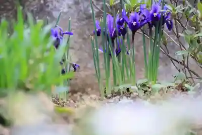 大鏑神社の庭園