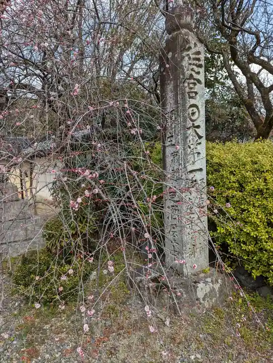 梅宮大社(京都府)