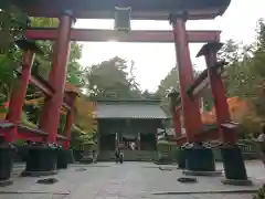 北口本宮冨士浅間神社の鳥居