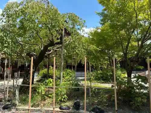 水無瀬神宮(大阪府)