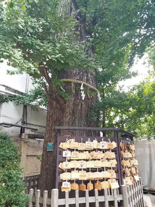 天祖神社(東京都)