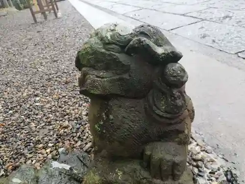 菊田神社の狛犬