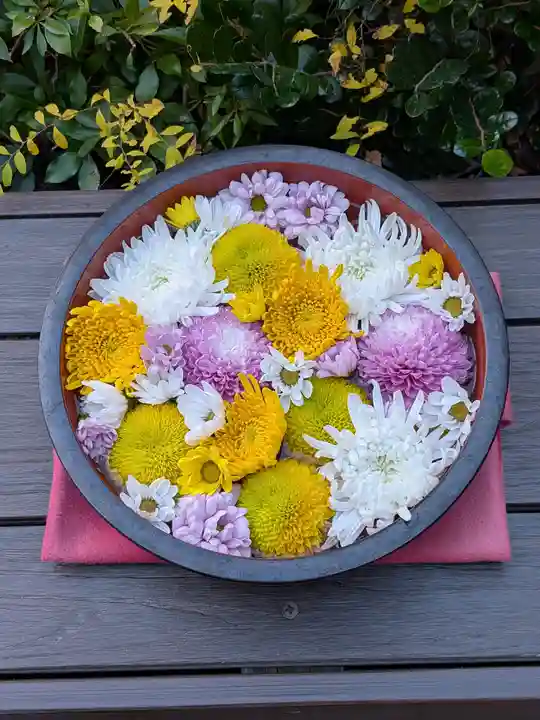 増上寺塔頭 三縁山 宝珠院(東京都)