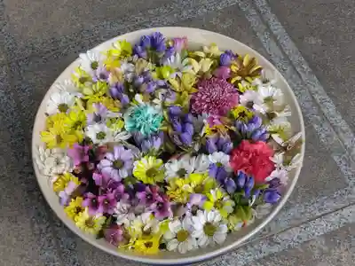 徳星寺(埼玉県)