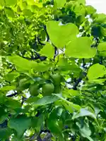 當光寺(東京都)