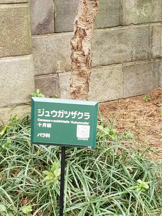 妙法寺(東京都)