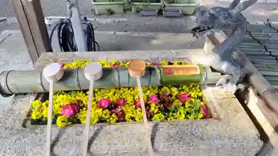 賀茂神社(滋賀県)