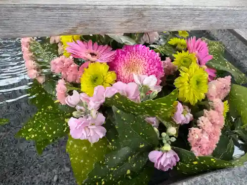 豊景神社の{uncategorized: "未分類", other: "その他", undefined: "問題あり", building: "その他建物", grave: "お墓", sacred_gate: "鳥居", guardian: "狛犬", statue: "像", buddha: "仏像", history: "歴史", nature: "自然", garden: "庭園", animal: "動物", pagoda: "塔", temizu: "手水舎", mountain_gate: "山門・神門", sanctuary: "本殿・本堂", subordinate: "末社・摂社", art: "芸術", scenery: "景色", jizo: "地蔵", ema: "絵馬", goshuin: "御朱印", omikuji: "おみくじ", items: "授与品その他", amulet: "お守り", goshuincho: "御朱印帳", eats: "食事", festival: "お祭り", votive_dance: "神楽", shichigosan: "七五三参", wedding: "結婚式", experience: "体験その他", initially: "初詣", around: "周辺", anti_infection: "感染症対策"}