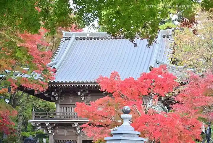 高尾山薬王院(東京都)