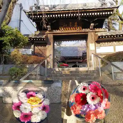 法輪寺の山門・神門