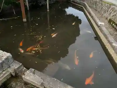 嘉川八幡宮(山口県)