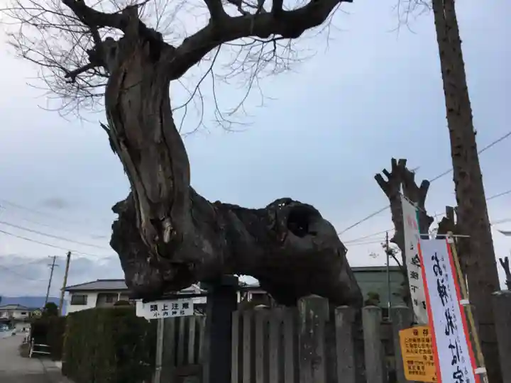 小内神社の自然