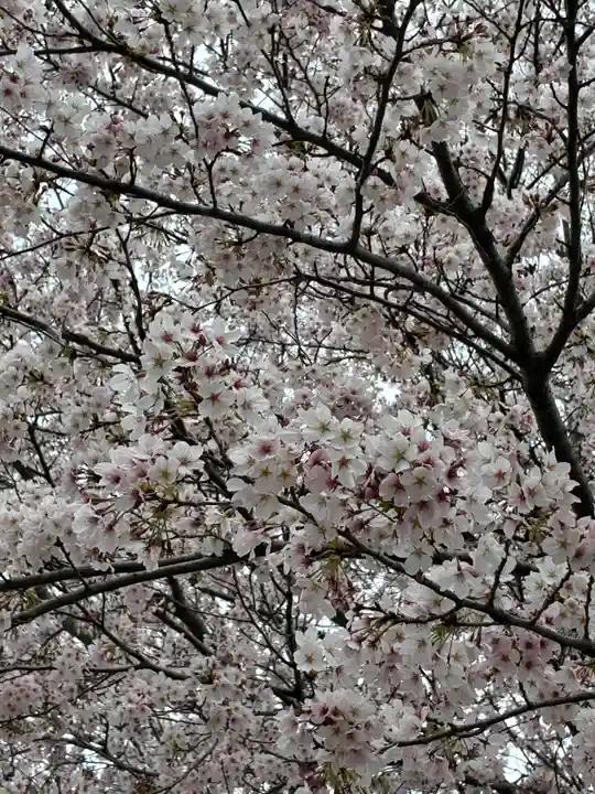 甲神社(茨城県)