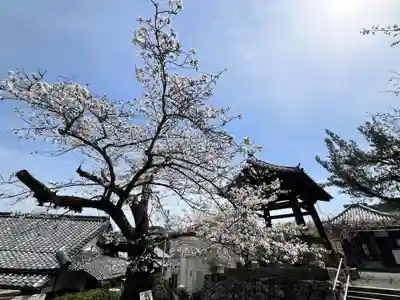 新家北向薬師如来堂(大阪府)