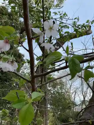 高田波蘇伎神社の庭園