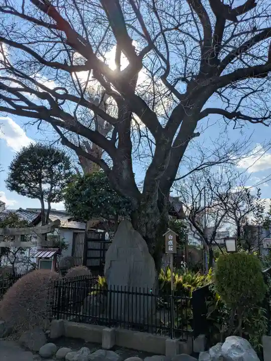 白山神社(東京都)
