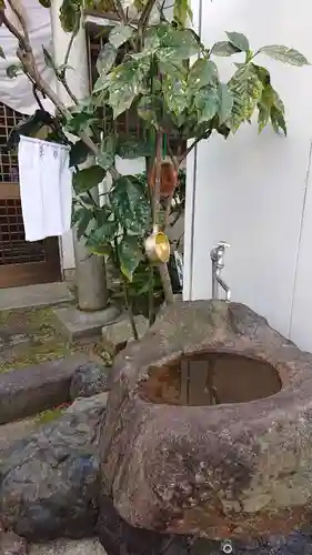 晴明社(本町晴明神社)の手水舎