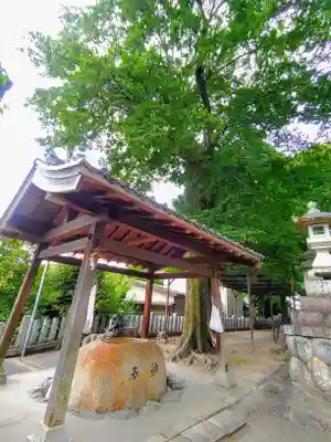 大明神社（宮田町藤ノ森）の手水舎