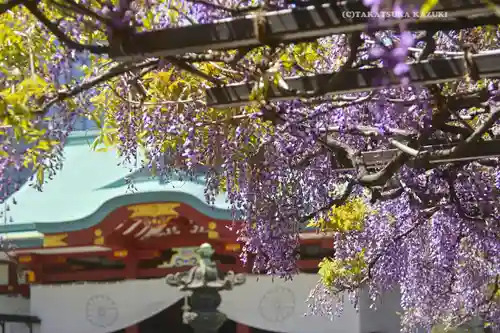 日枝神社(東京都)