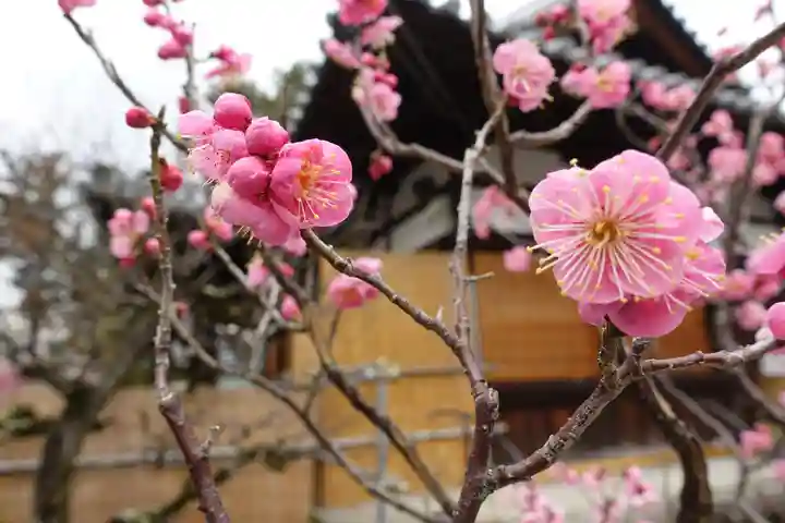 菅原天満宮(菅原神社)の自然