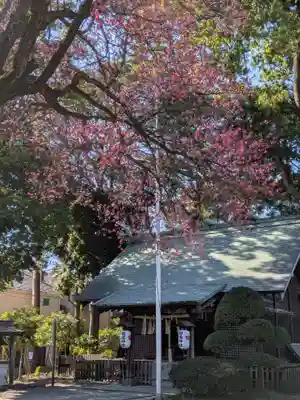 田端神社(東京都)
