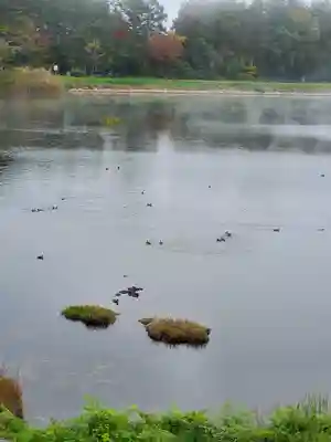 飯綱神社(長野県)