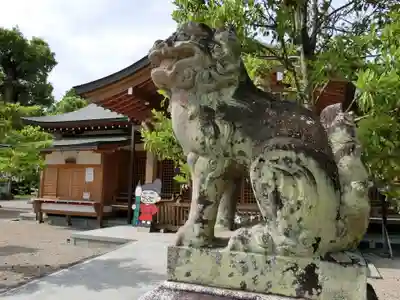 多坐弥志理都比古神社の狛犬
