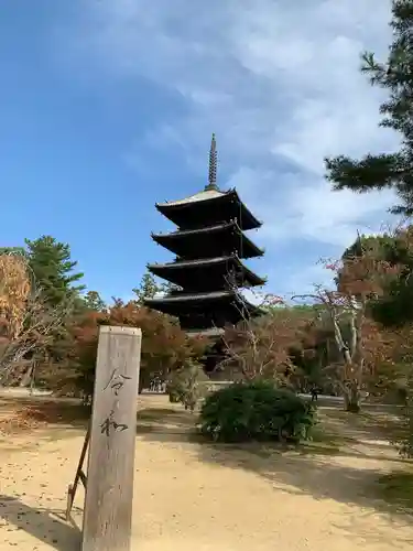 仁和寺の塔