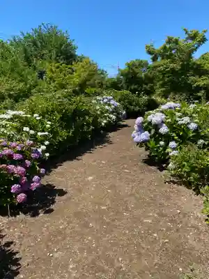 大神山神社本宮(鳥取県)