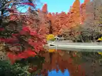 井の頭弁財天(大盛寺)(東京都)