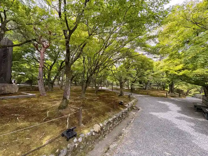 東福禅寺(東福寺)(京都府)