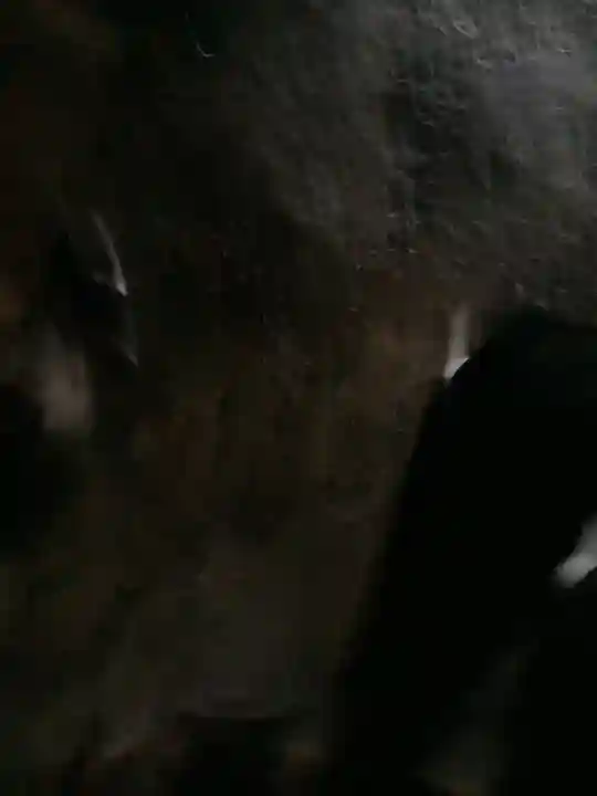 岩屋観音堂(岐阜県坂祝町)(岐阜県)