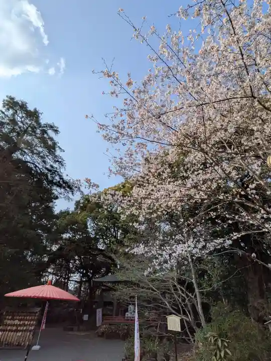 大宮八幡宮(東京都)
