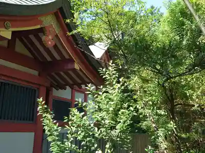 前川神社の本殿・本堂