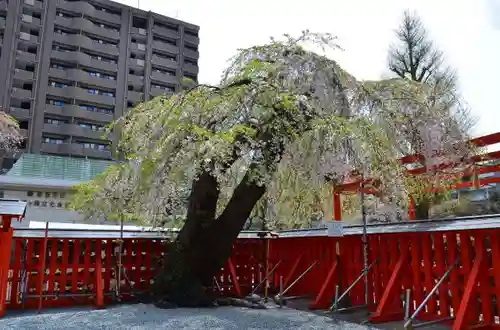 榴岡天満宮の庭園