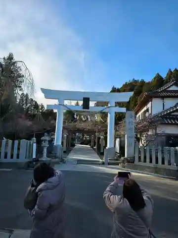 金蛇水神社の{uncategorized: "未分類", other: "その他", undefined: "問題あり", building: "その他建物", grave: "お墓", sacred_gate: "鳥居", guardian: "狛犬", statue: "像", buddha: "仏像", history: "歴史", nature: "自然", garden: "庭園", animal: "動物", pagoda: "塔", temizu: "手水舎", mountain_gate: "山門・神門", sanctuary: "本殿・本堂", subordinate: "末社・摂社", art: "芸術", scenery: "景色", jizo: "地蔵", ema: "絵馬", goshuin: "御朱印", omikuji: "おみくじ", items: "授与品その他", amulet: "お守り", goshuincho: "御朱印帳", eats: "食事", festival: "お祭り", votive_dance: "神楽", shichigosan: "七五三参", wedding: "結婚式", experience: "体験その他", initially: "初詣", around: "周辺", anti_infection: "感染症対策"}