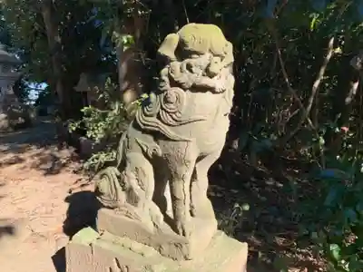 円山神社の狛犬