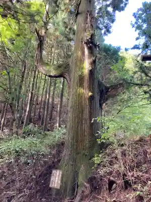 武蔵御嶽神社(東京都)