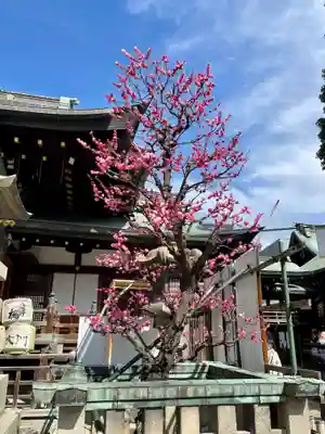 大阪天満宮のその他建物