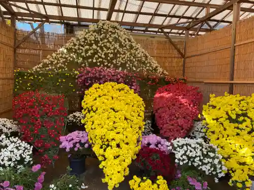 笠間稲荷神社の芸術