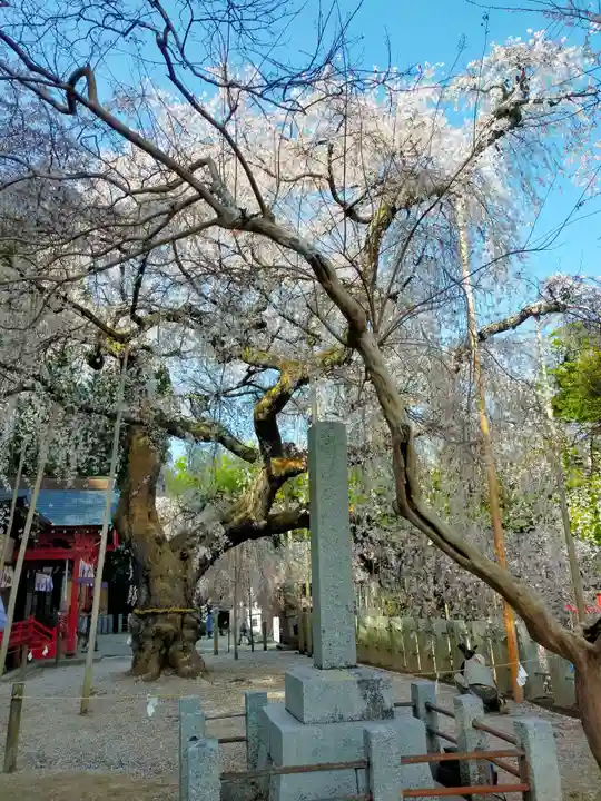 小川諏訪神社のその他建物