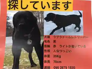 仁玄寺(北海道)(2021年01月20日(水) 14時13分07秒投稿)