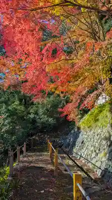 善峯寺(京都府)