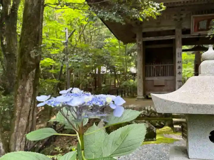 妙楽寺(福井県)