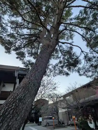 猿田彦神社(東京都)