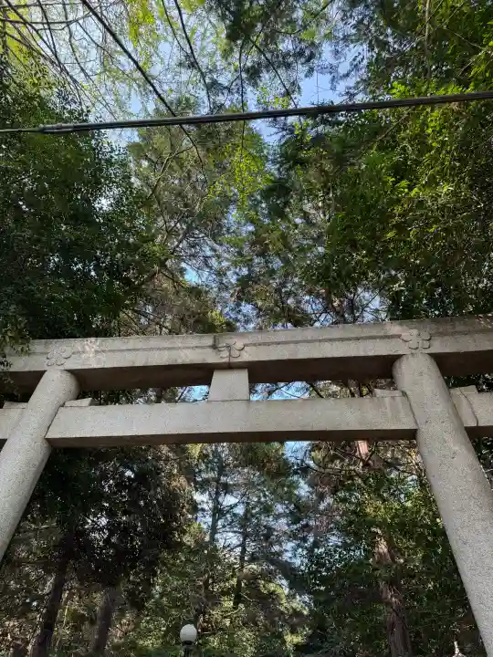 土支田八幡宮の{uncategorized: "未分類", other: "その他", undefined: "問題あり", building: "その他建物", grave: "お墓", sacred_gate: "鳥居", guardian: "狛犬", statue: "像", buddha: "仏像", history: "歴史", nature: "自然", garden: "庭園", animal: "動物", pagoda: "塔", temizu: "手水舎", mountain_gate: "山門・神門", sanctuary: "本殿・本堂", subordinate: "末社・摂社", art: "芸術", scenery: "景色", jizo: "地蔵", ema: "絵馬", goshuin: "御朱印", omikuji: "おみくじ", items: "授与品その他", amulet: "お守り", goshuincho: "御朱印帳", eats: "食事", festival: "お祭り", votive_dance: "神楽", shichigosan: "七五三参", wedding: "結婚式", experience: "体験その他", initially: "初詣", around: "周辺", anti_infection: "感染症対策"}