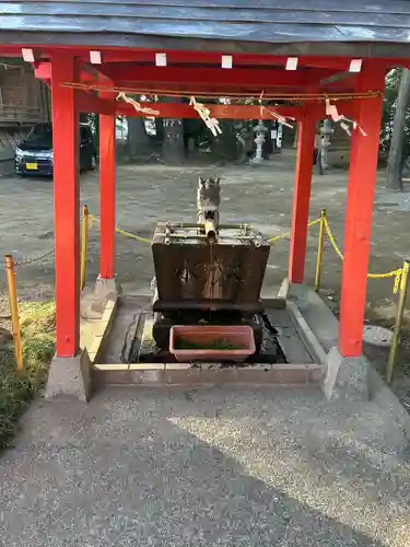 開運招福 飯玉神社(群馬県)