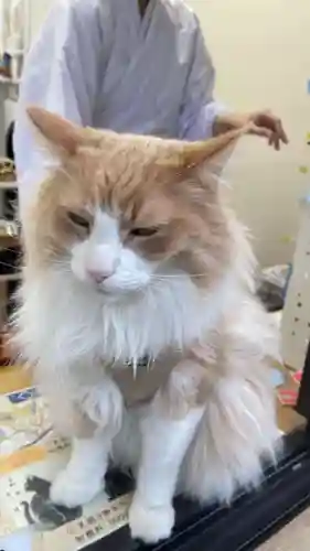 駒込妙義神社(東京都)